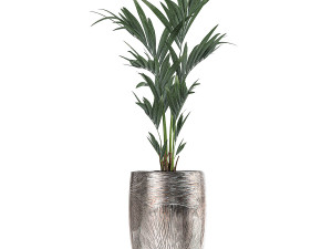 collection of decorative plants in luxury flowerpots 793 Modelo 3D