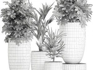 collection of decorative plants in luxury flowerpots 793 Modelo 3D