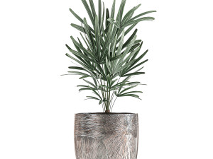 collection of decorative plants in luxury flowerpots 793 Modelo 3D