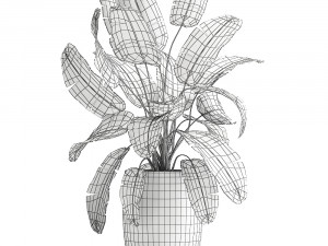 banana palm in a luxury flowerpot 794 3D Model