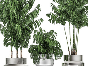 decorative palm chamaedorea in a chrome flowerpot 796 3D 模型