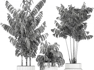 decorative palm chamaedorea in a chrome flowerpot 796 3D 模型