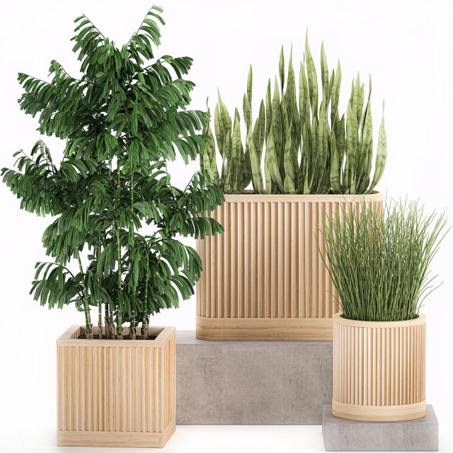 decorative plants in a bamboo flowerpots 799 3D Model .c4d .max .obj .3ds .fbx .stl .blend 