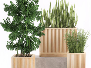 decorative plants in a bamboo flowerpots 799 3D Model