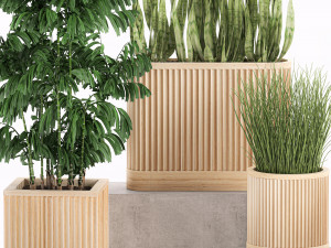 decorative plants in a bamboo flowerpots 799 3D Model