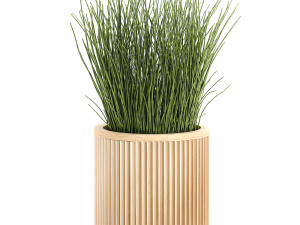 decorative plants in a bamboo flowerpots 799 3D Model