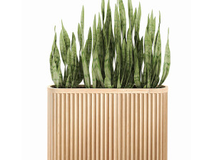 decorative plants in a bamboo flowerpots 799 3D Model