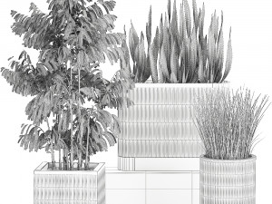 decorative plants in a bamboo flowerpots 799 3D Model