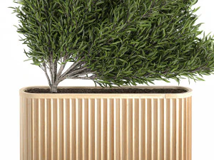 decorative tree in a bamboo flowerpots 800 3D Model
