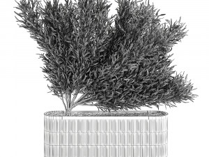 decorative tree in a bamboo flowerpots 800 3D Model