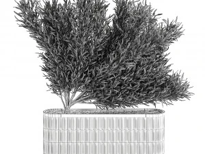 decorative tree in a bamboo flowerpots 800 3D Model