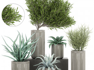 decorative plants in a concrete flowerpots 802 3D Model