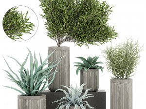 decorative plants in a concrete flowerpots 802 3D Модель