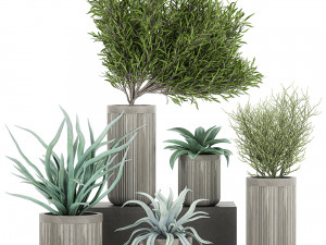 decorative plants in a concrete flowerpots 802 Model 3D