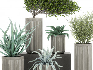 decorative plants in a concrete flowerpots 802 Model 3D