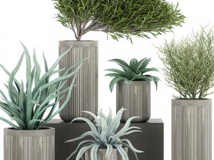 plantas decorativas em vasos de concreto 802 Modelo 3D