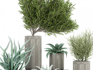 decorative plants in a concrete flowerpots 802 Model 3D