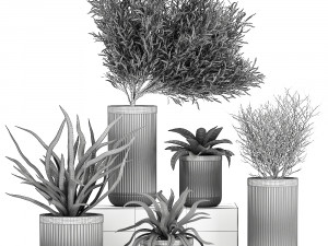 decorative plants in a concrete flowerpots 802 Model 3D