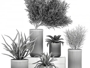 plantas decorativas em vasos de concreto 802 Modelo 3D