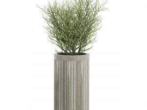 decorative plants in a concrete flowerpots 802 Model 3D