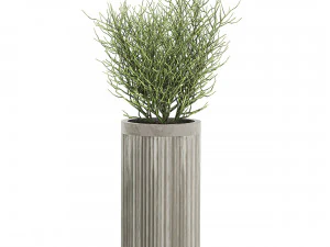 plantas decorativas em vasos de concreto 802 Modelo 3D