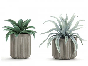 plantas decorativas em vasos de concreto 802 Modelo 3D