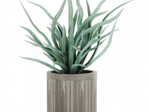 decorative plants in a concrete flowerpots 802 Model 3D