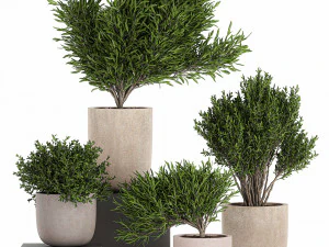 &aacute;rvore decorativa em vasos de flores 803 Modelo 3D