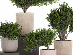 decorative tree in a flowerpots 803 3D-Modell