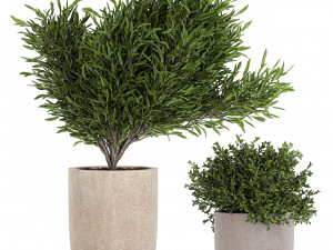 decorative tree in a flowerpots 803 3D-Modell