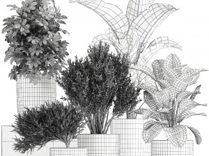 collection of decorative plants in flowerpots 804 Modelo 3D