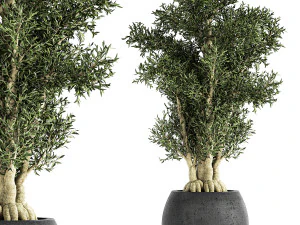 Dekobaum im schwarzen Blumentopf 806 3D Modell