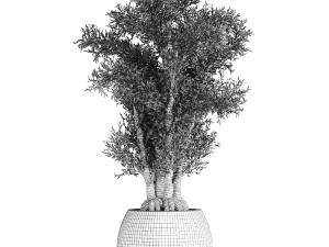 decorative tree in a black flowerpots 806 3D Model