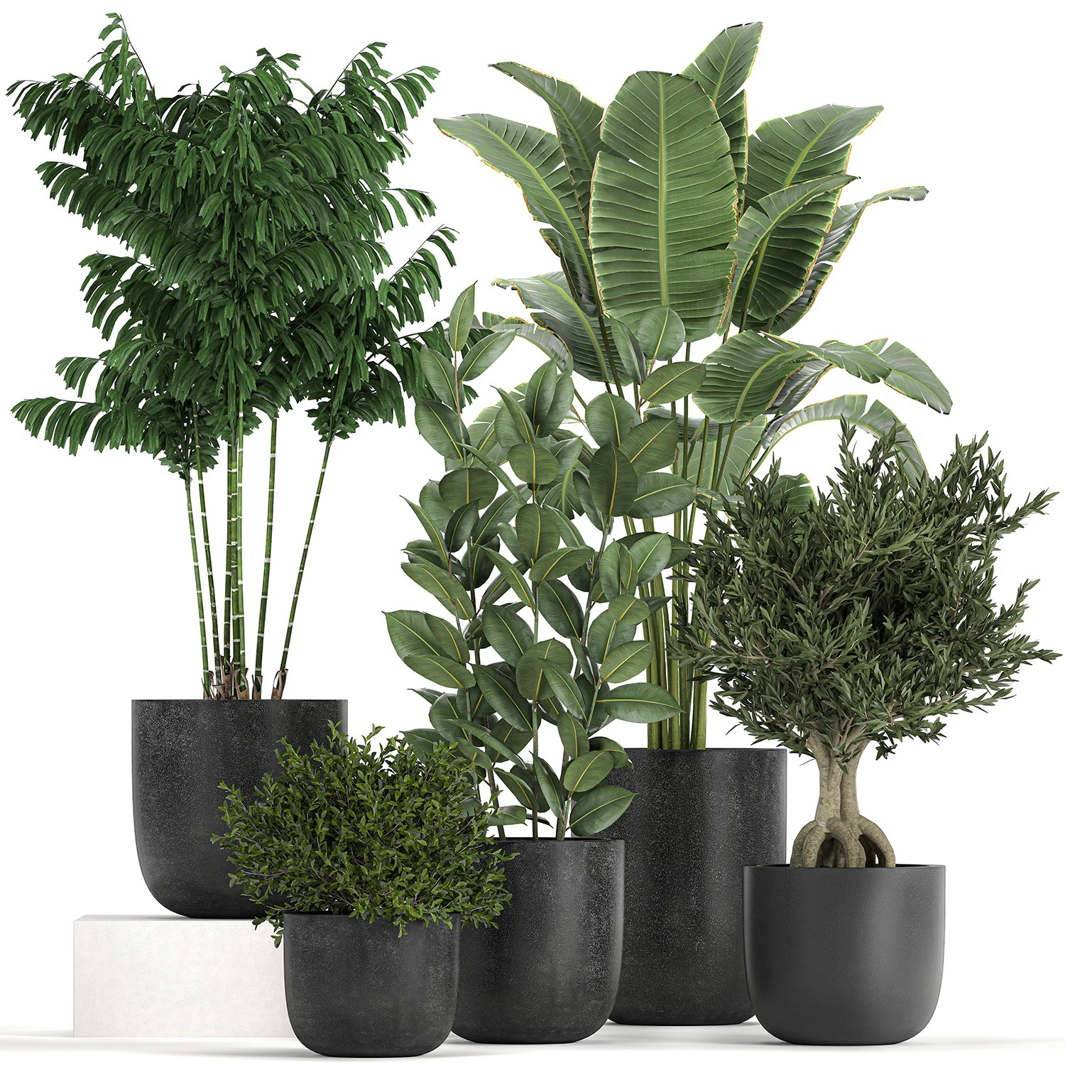 collection of decorative plants in flowerpots 808 3D Model .c4d .max .obj .3ds .fbx .stl .blend 