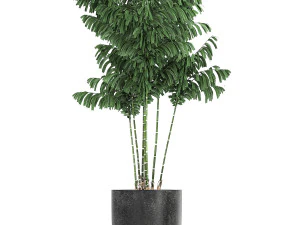 collection of decorative plants in flowerpots 808 3D Model