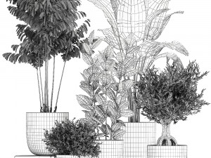 collection of decorative plants in flowerpots 808 3Dモデル