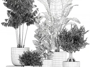 collection of decorative plants in flowerpots 808 3D Model