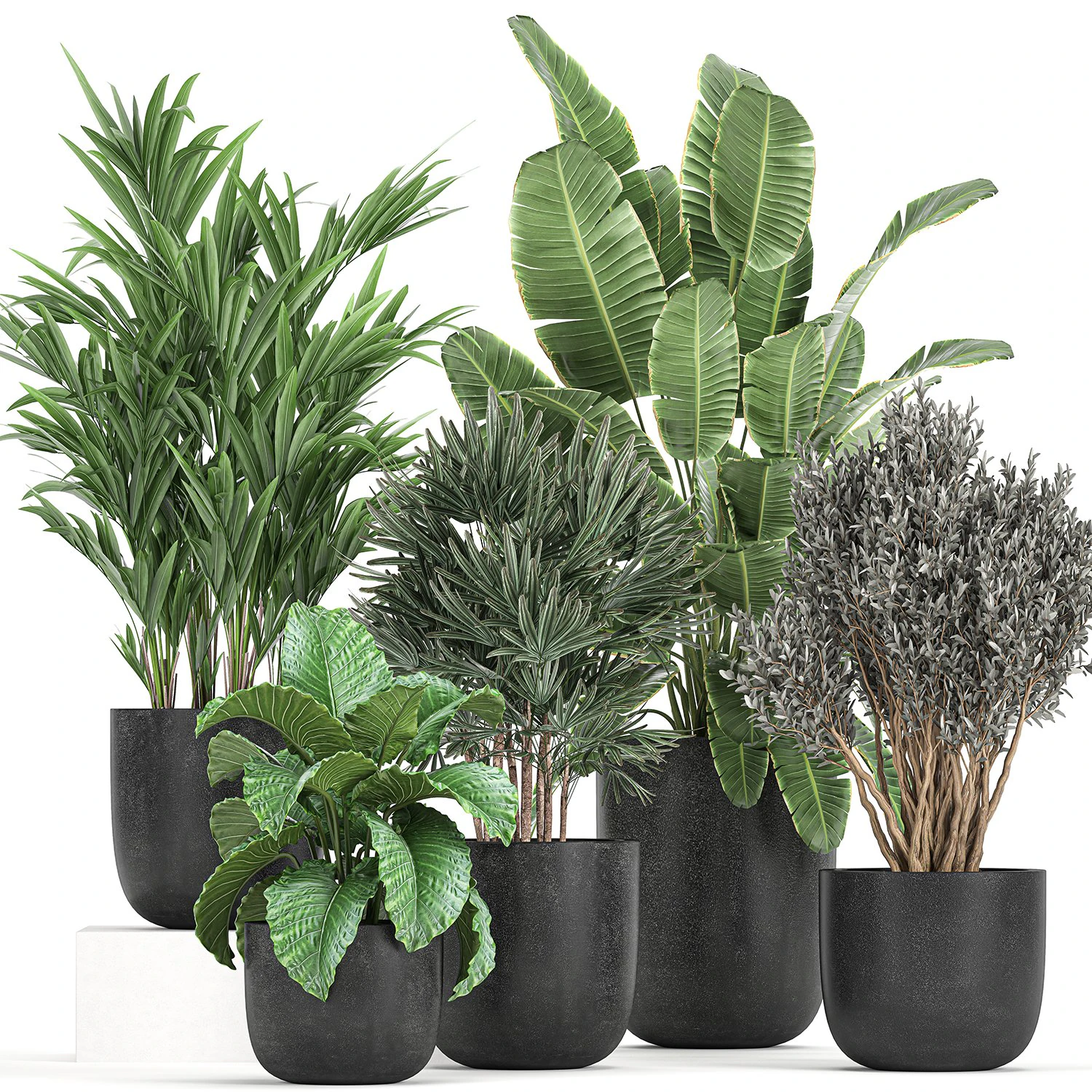 collection of decorative plants in flowerpots 813 3D Model .c4d .max .obj .3ds .fbx .stl .blend 