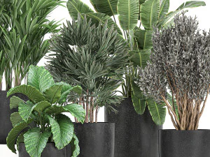 collection of decorative plants in flowerpots 813 3D Model