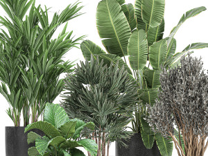 collection of decorative plants in flowerpots 813 Modelo 3D
