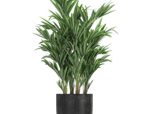 collection of decorative plants in flowerpots 813 Modelo 3D