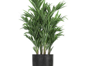 collection of decorative plants in flowerpots 813 3D Model