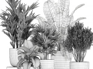 collection of decorative plants in flowerpots 813 Modelo 3D
