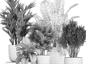 collection of decorative plants in flowerpots 813 3D Model