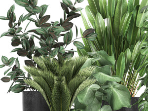 collection of decorative plants in flowerpots 815 3D Model