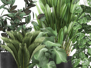 collection of decorative plants in flowerpots 815 3D Model
