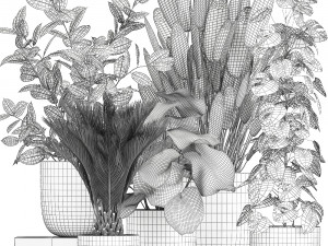 collection of decorative plants in flowerpots 815 3D Model
