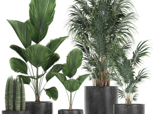 गमलों में सजावटी पौधों का संग्रह 816 3D मॉडल