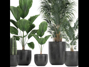 collection of decorative plants in flowerpots 816 3D Model