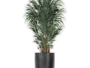 collection of decorative plants in flowerpots 816 3D Model